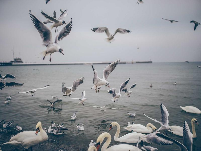 sudoku symmetric puzzle screenshot 3