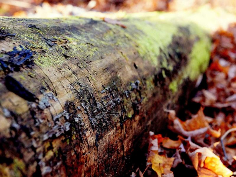 feedback screenshot 4